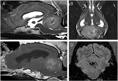 Medulloblastoma in a 6 Year Old Mixed Breed Dog: Surgical Debulking and Chemotherapy